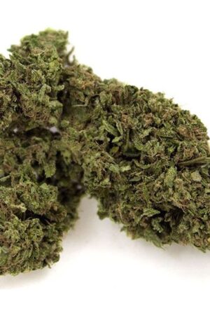 buy cheese marijuana online