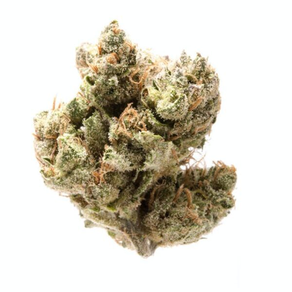 buy durban poison online