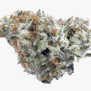 buy white widow online