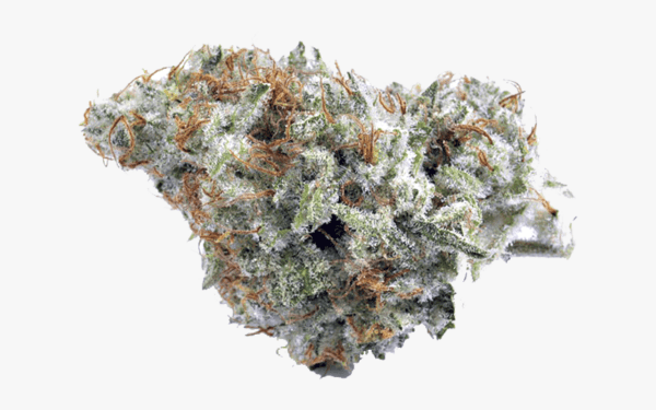 buy white widow online