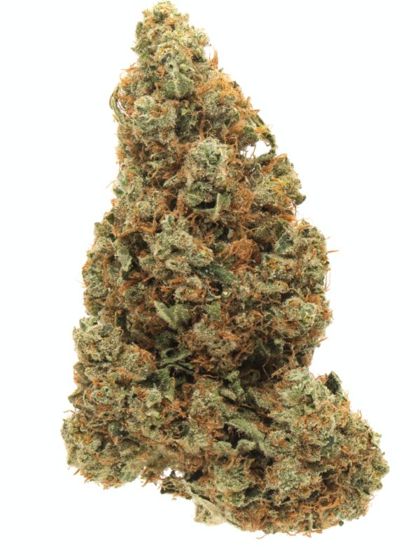buy afghan online