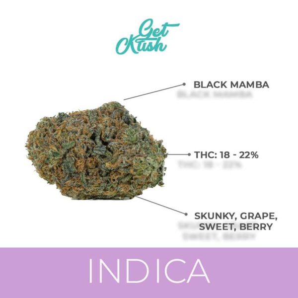 buy black mamba kush online