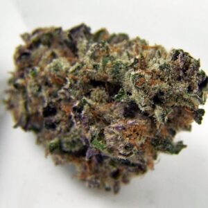 buy blackberry haze online