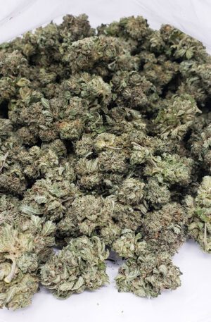buy Cali kush online
