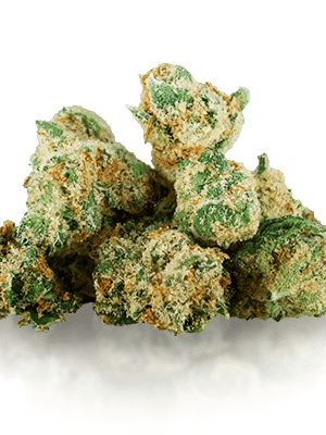 buy jack herer online