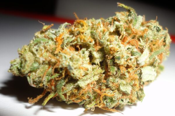 buy mango kush online