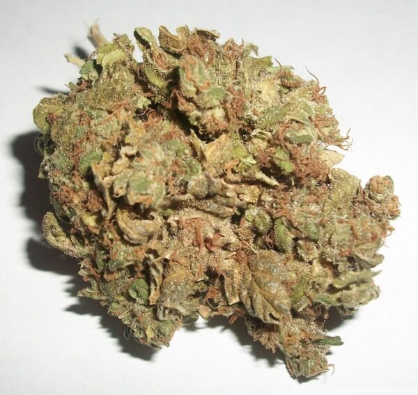 buy afghan online