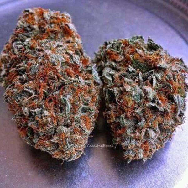 buy black mamba kush online