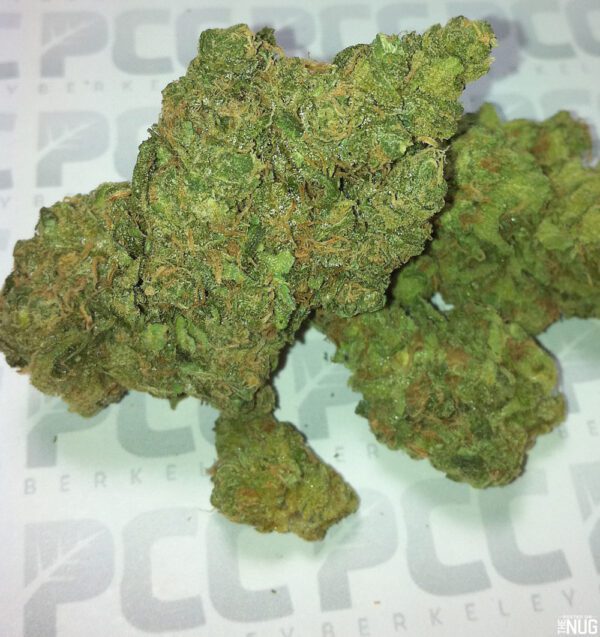 buy cheese marijuana online