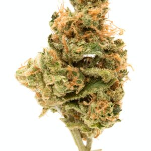 buy hindu kush online