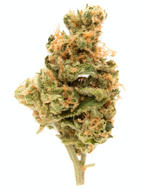 buy hindu kush online