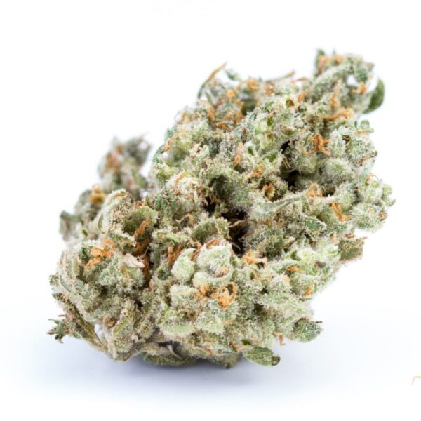 buy jack herer online