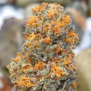 buy mango kush online