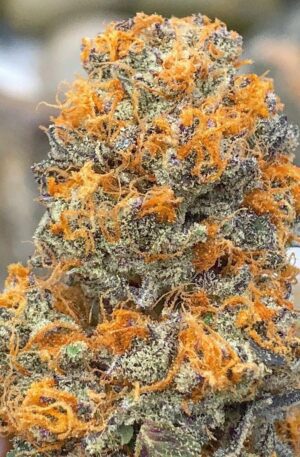 buy mango kush online