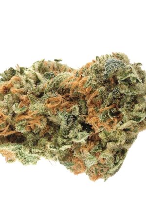 buy northern light marijuana online