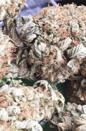 buy platinum og online