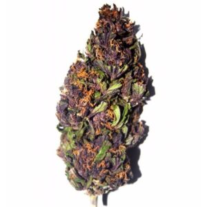 buy purple haze online