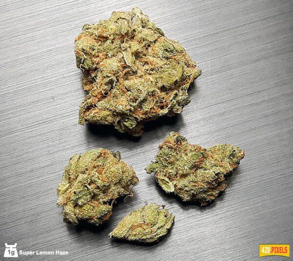 buy lemon haze online