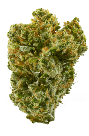 buy silver haze online