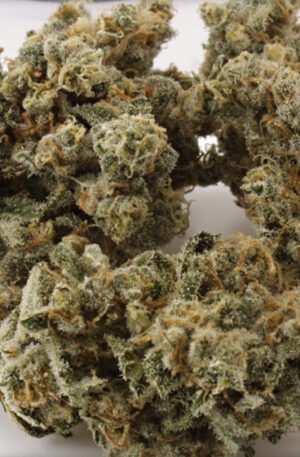 buy train wreck online