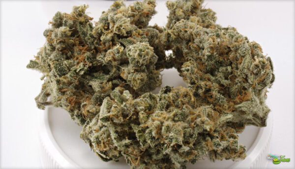 buy train wreck online