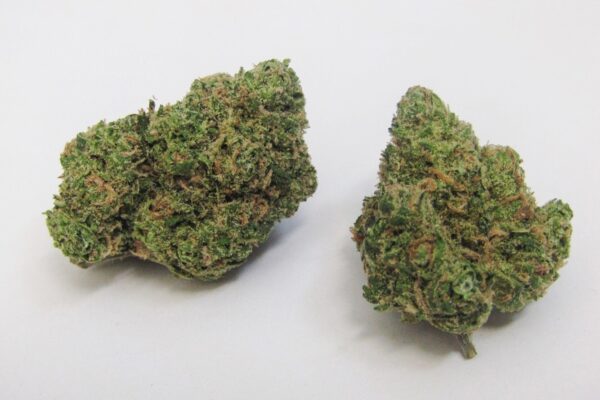 buy cheese marijuana online