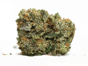 buy Indica online