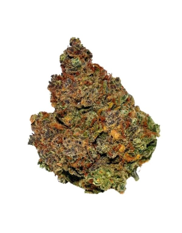 buy northern light marijuana online