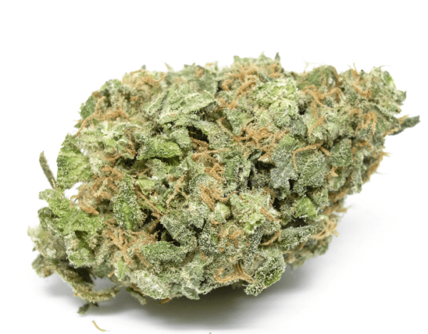 buy white widow online