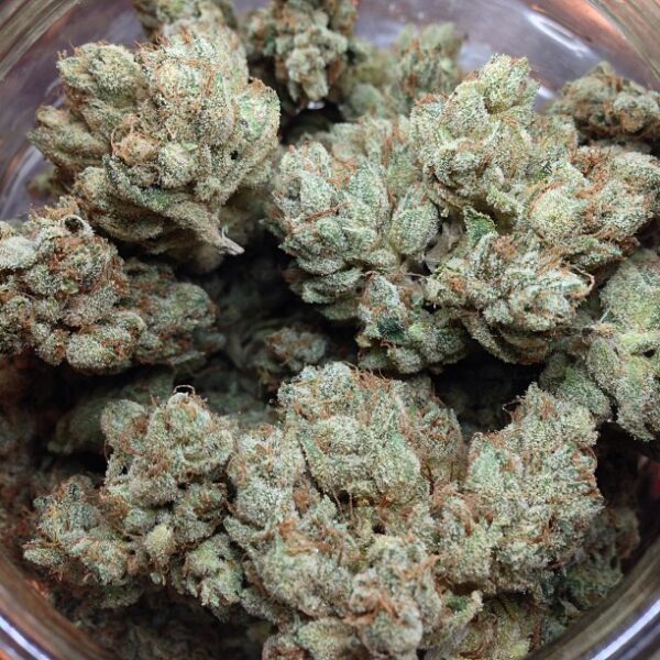 master yoda strain