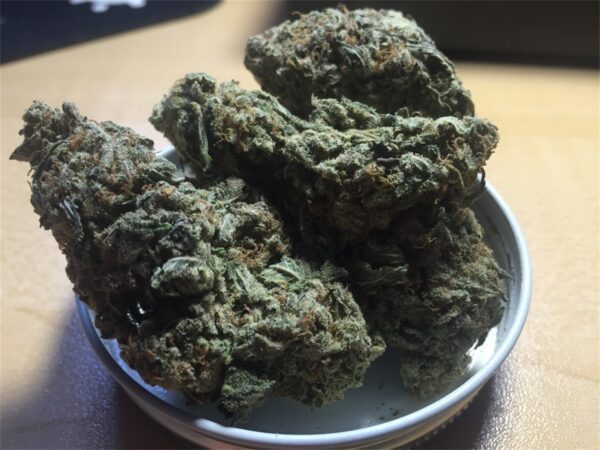 Jamaican Strain