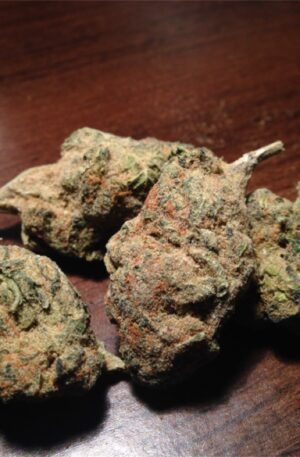 Jamaican Strain