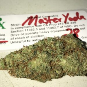 master yoda strain