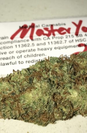 master yoda strain