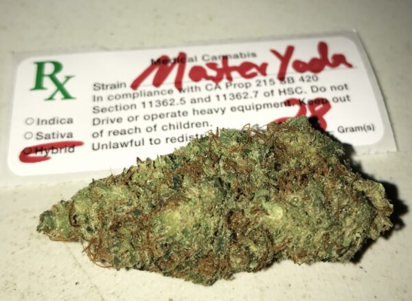 master yoda strain