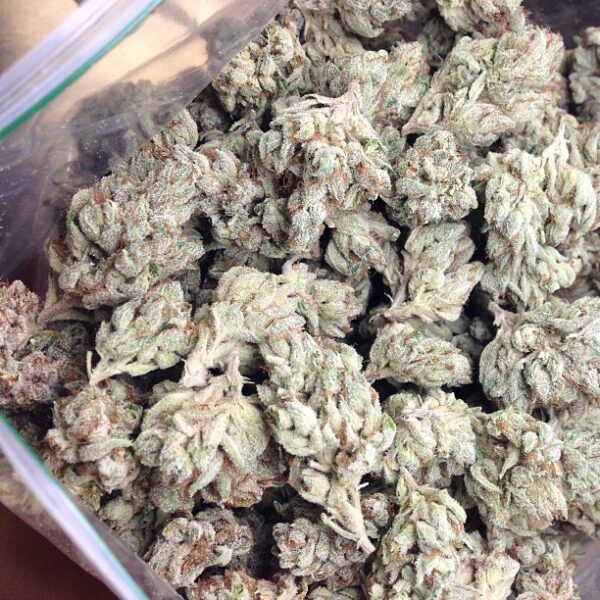 master yoda strain