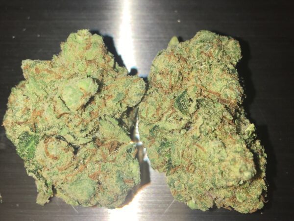 master yoda strain