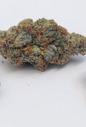 Papaya Kush Strain