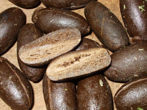 buy charas hash online