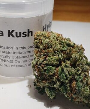 Khalifa kush