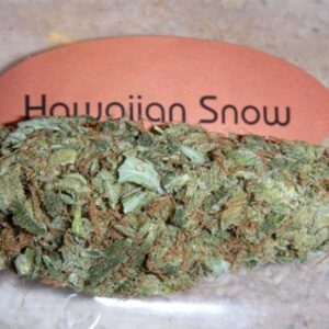 hawaiian snow strain