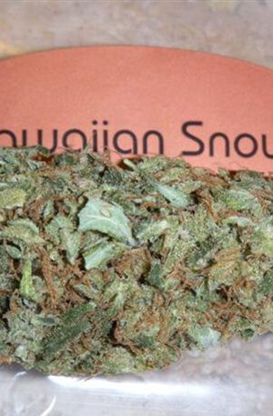 hawaiian snow strain
