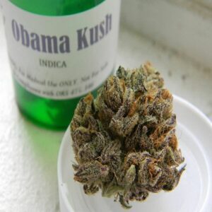 obama kush