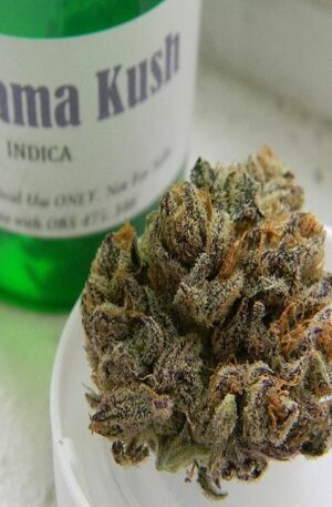 obama kush