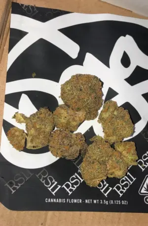 Rainbow sherbet #11